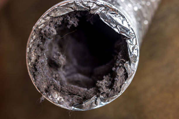 Best Commercial HVAC Duct Cleaning  in Louisa, VA